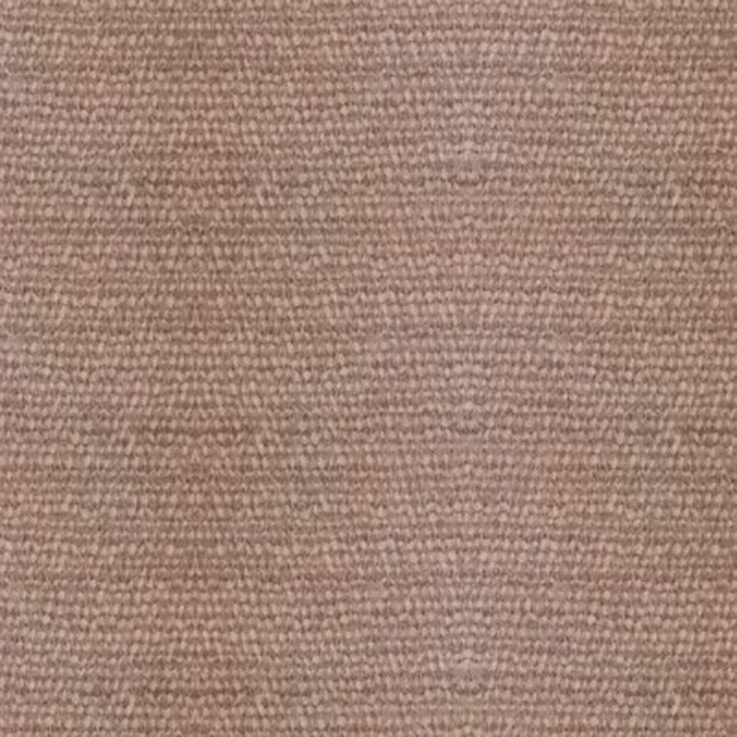 Wheat