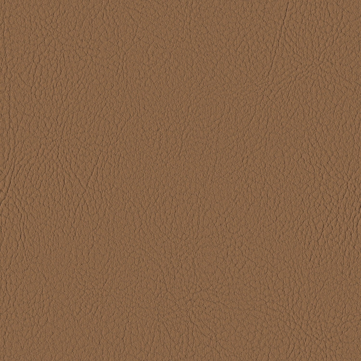 Cognac