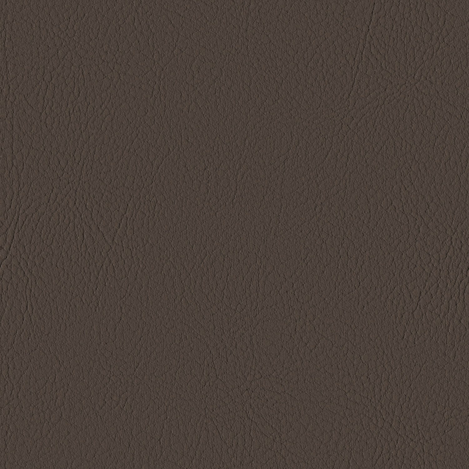 Mocca