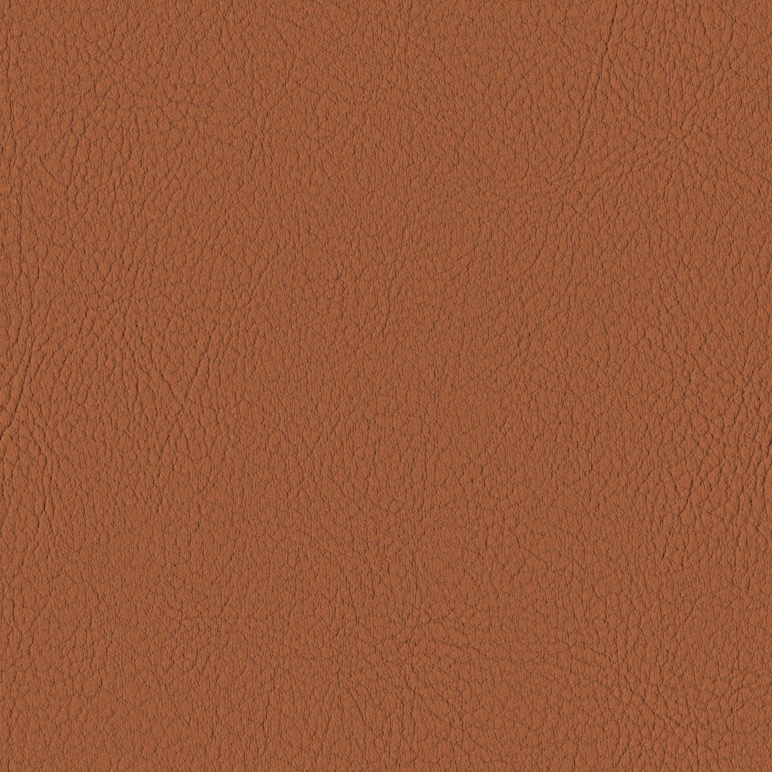 Terracotta