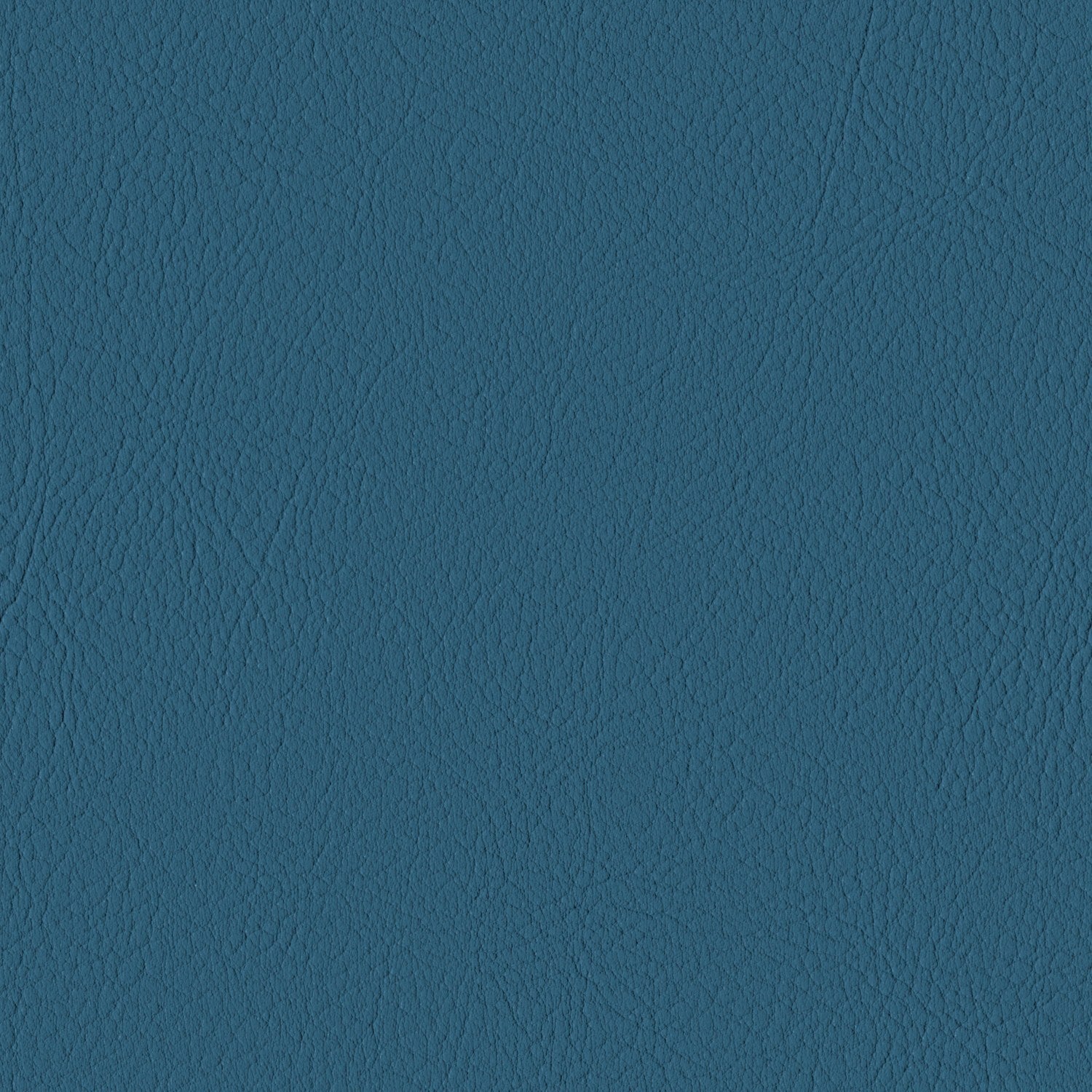 Scuba