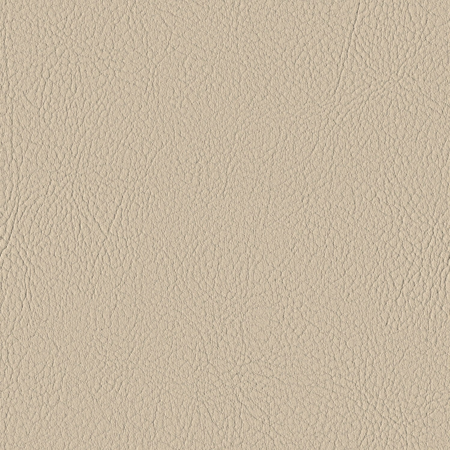 Sisal