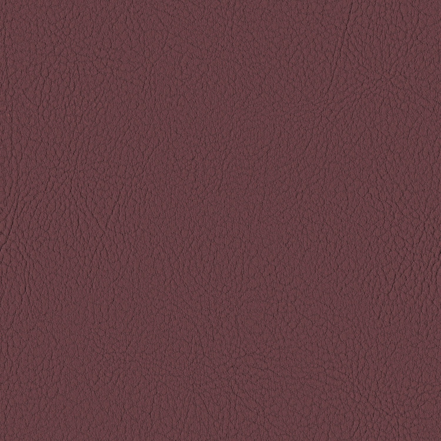 Merlot
