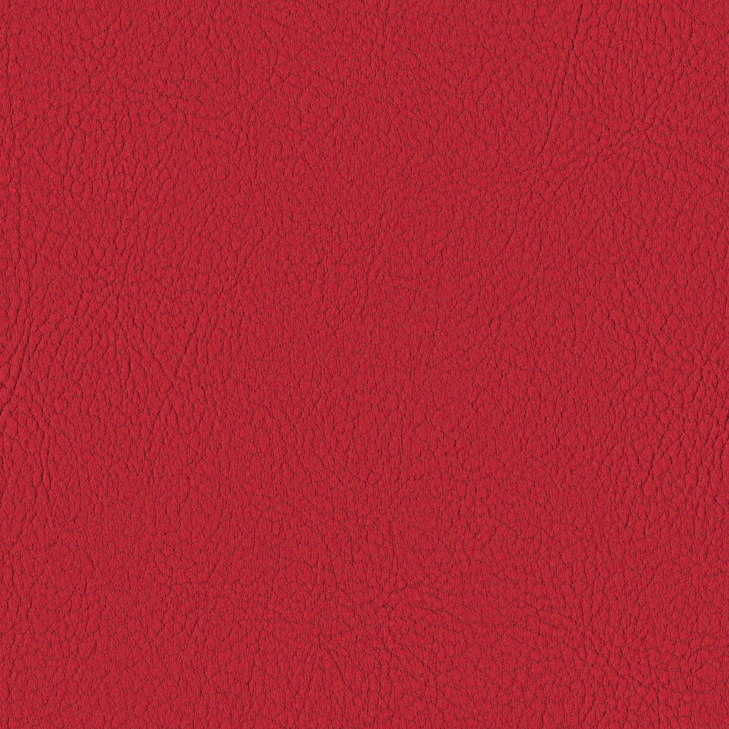 Rot