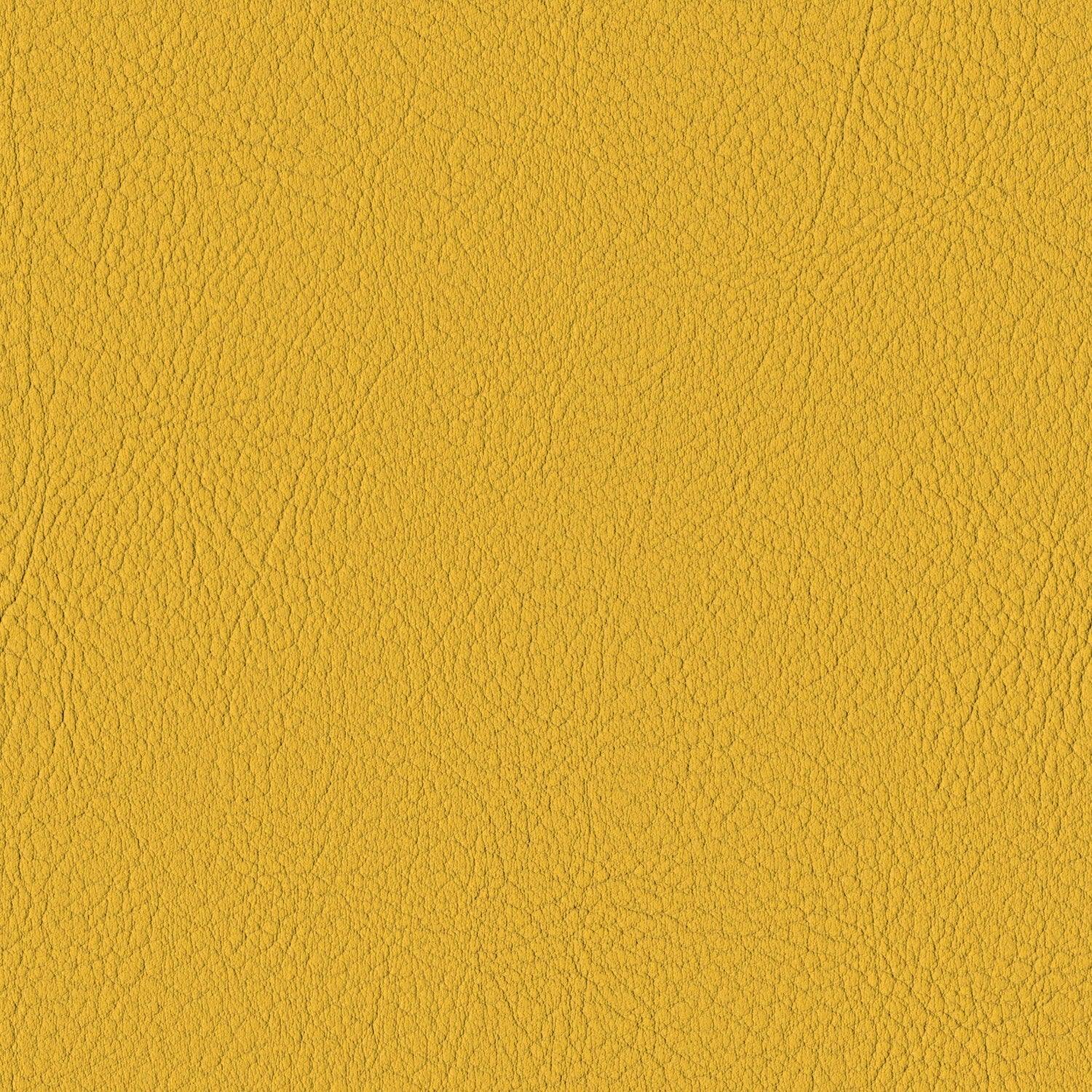 Squash