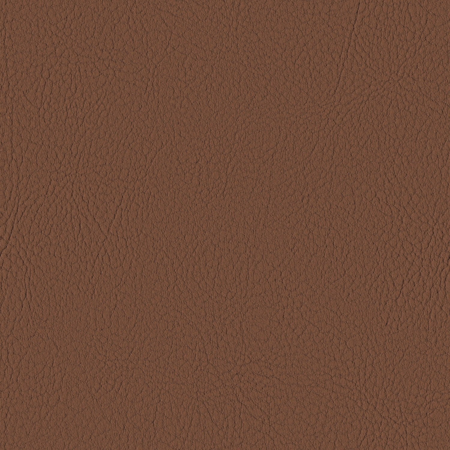Chestnut