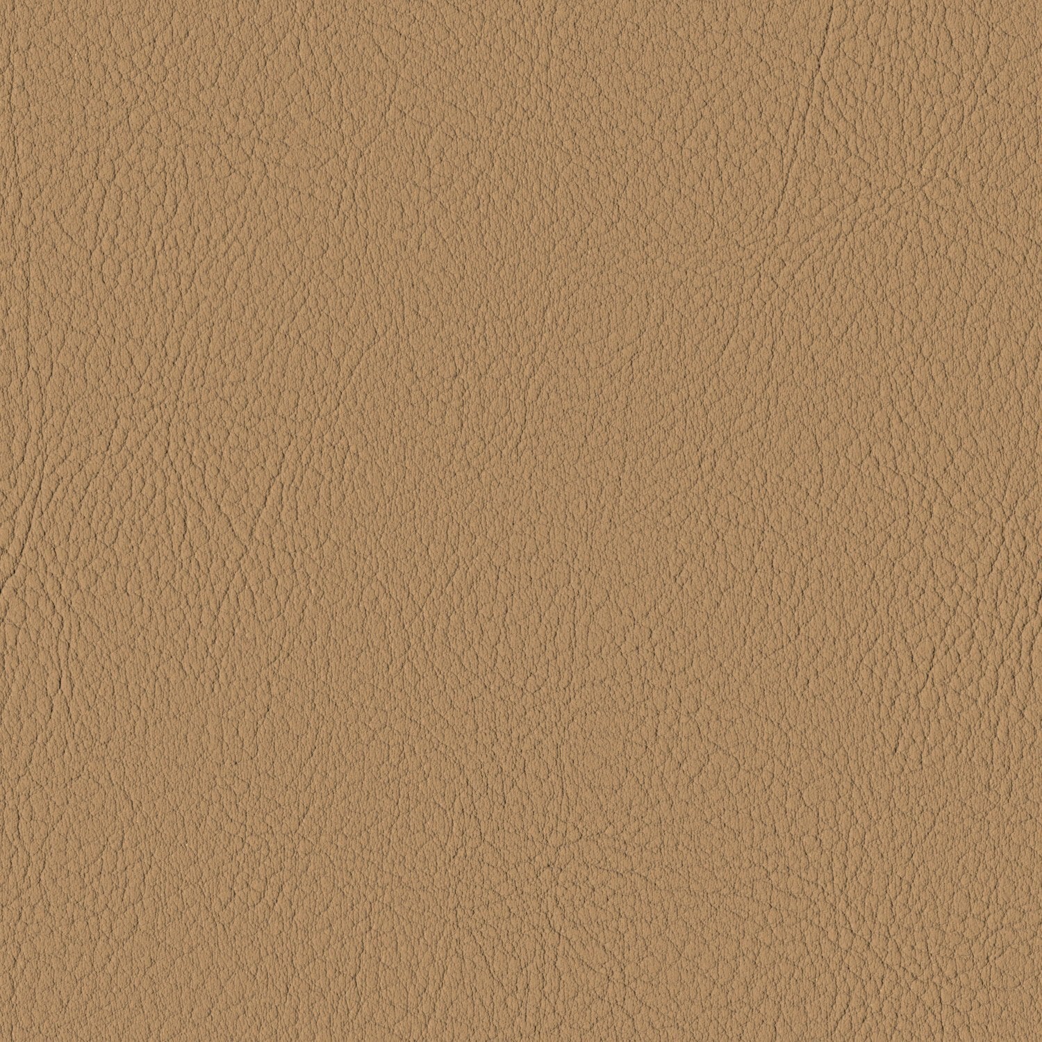 Cashmere