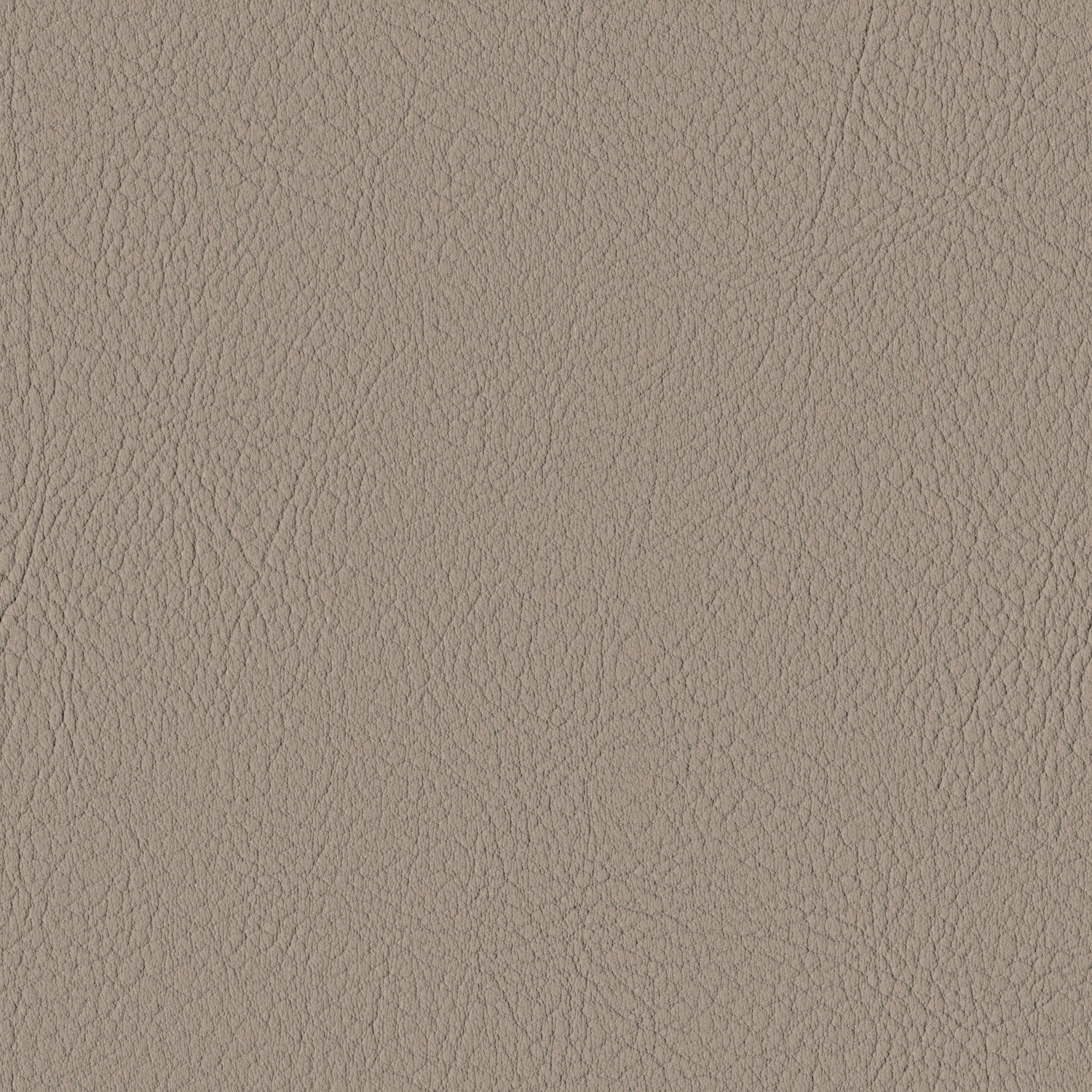 Warm Grey