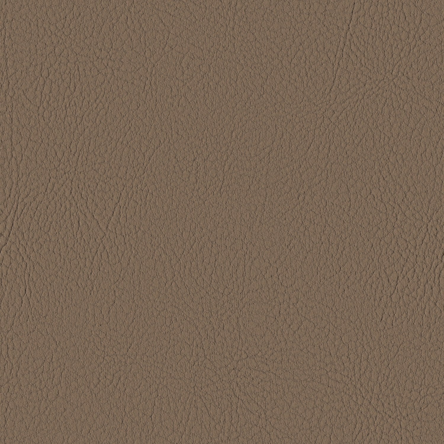 Sumatra