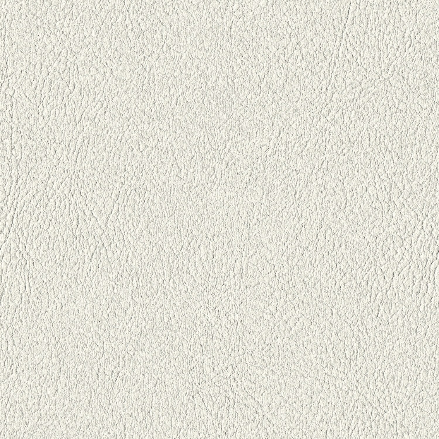 Pure White