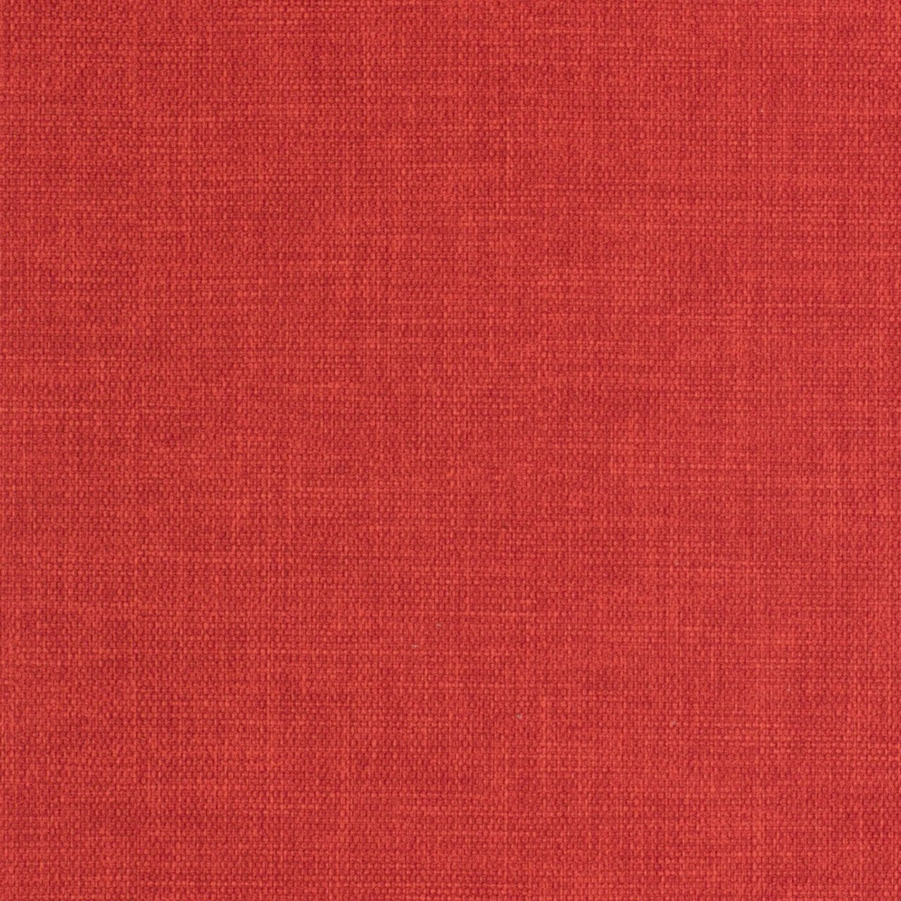 Goji Berry