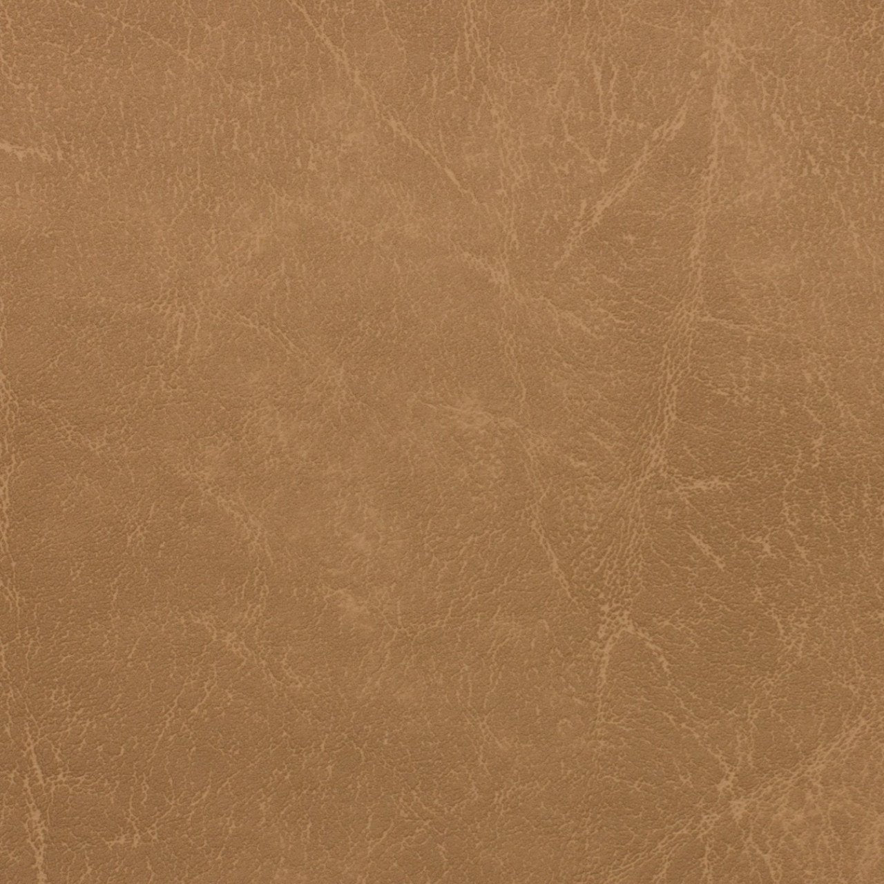 Saddle Brown